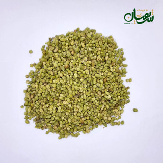 اورگانو گل (بولد)
